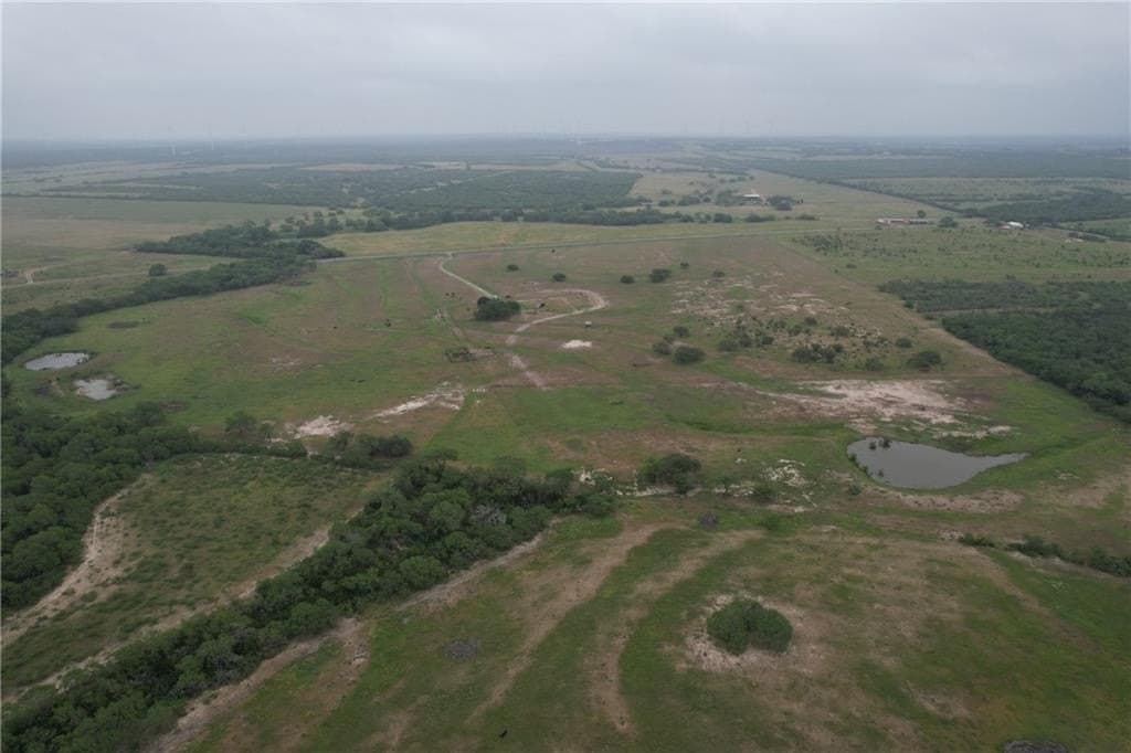69.93 acres in Bee County featured view