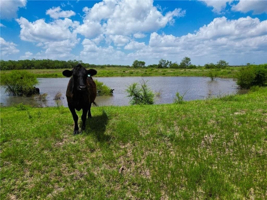 69.93 acres in Bee County - photo 11