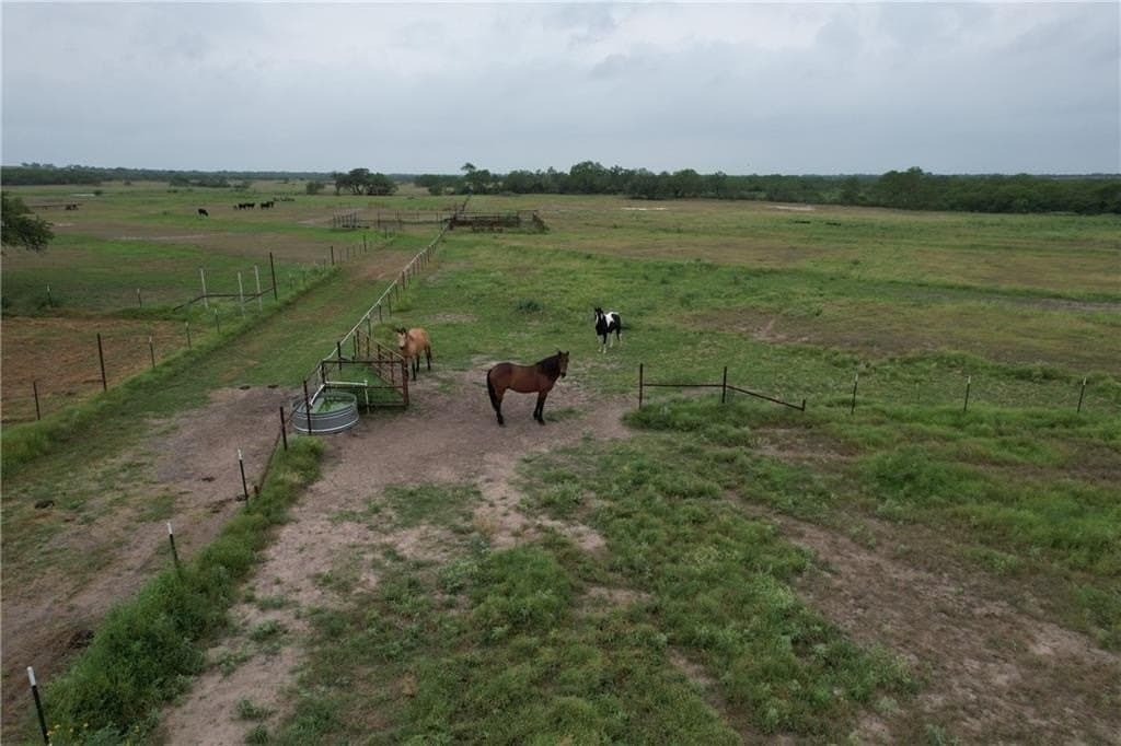 69.93 acres in Bee County - photo 10