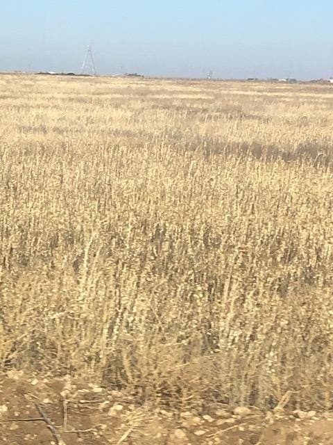 27 acres in Lubbock County - photo 3