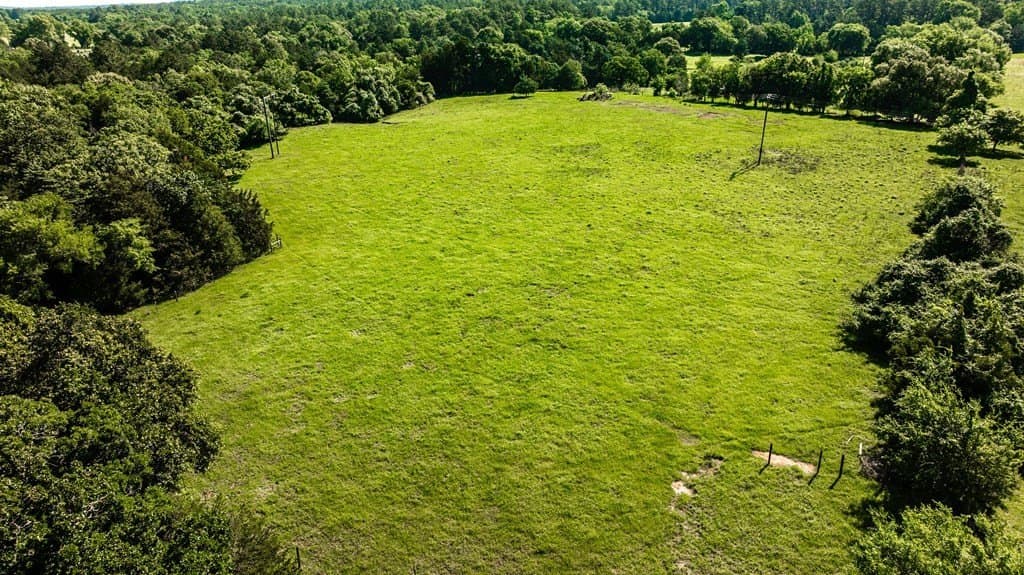 72 acres in ANDERSON County - photo 73