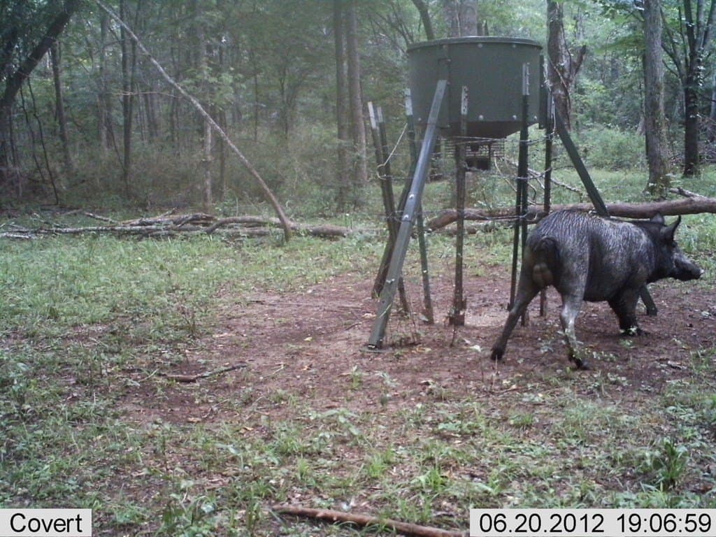 56.35 acres in Texas County - photo 41