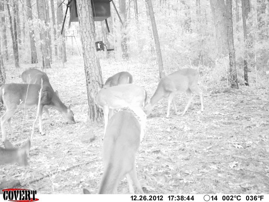 56.35 acres in Texas County - photo 36
