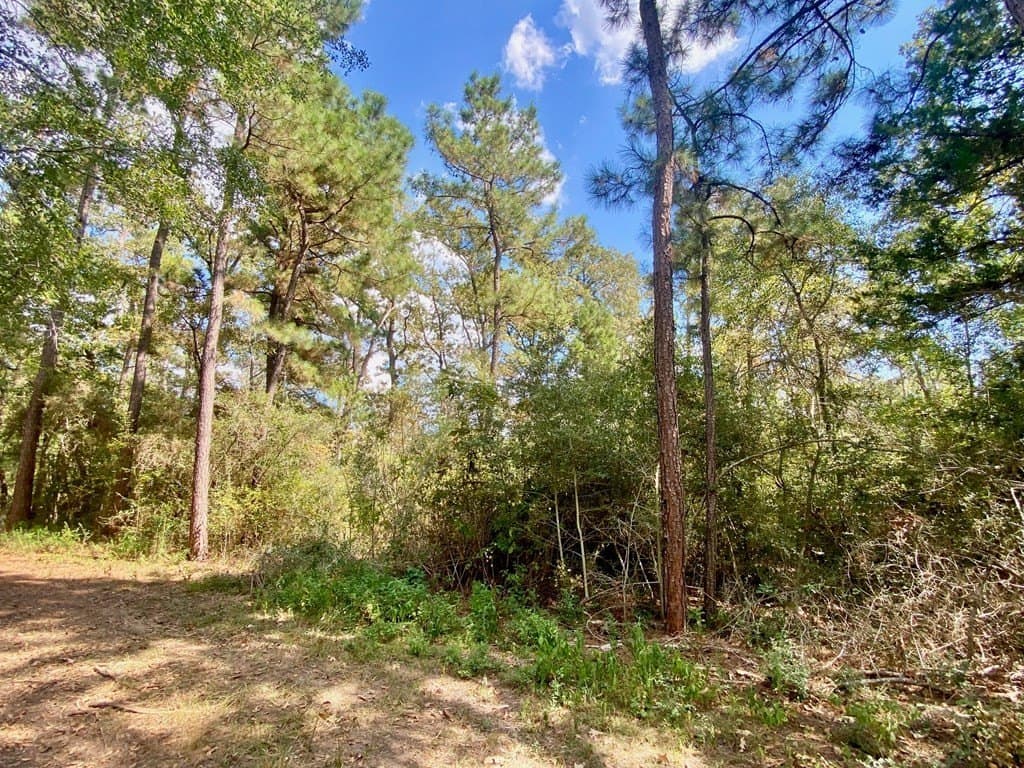 56.35 acres in Texas County - photo 53