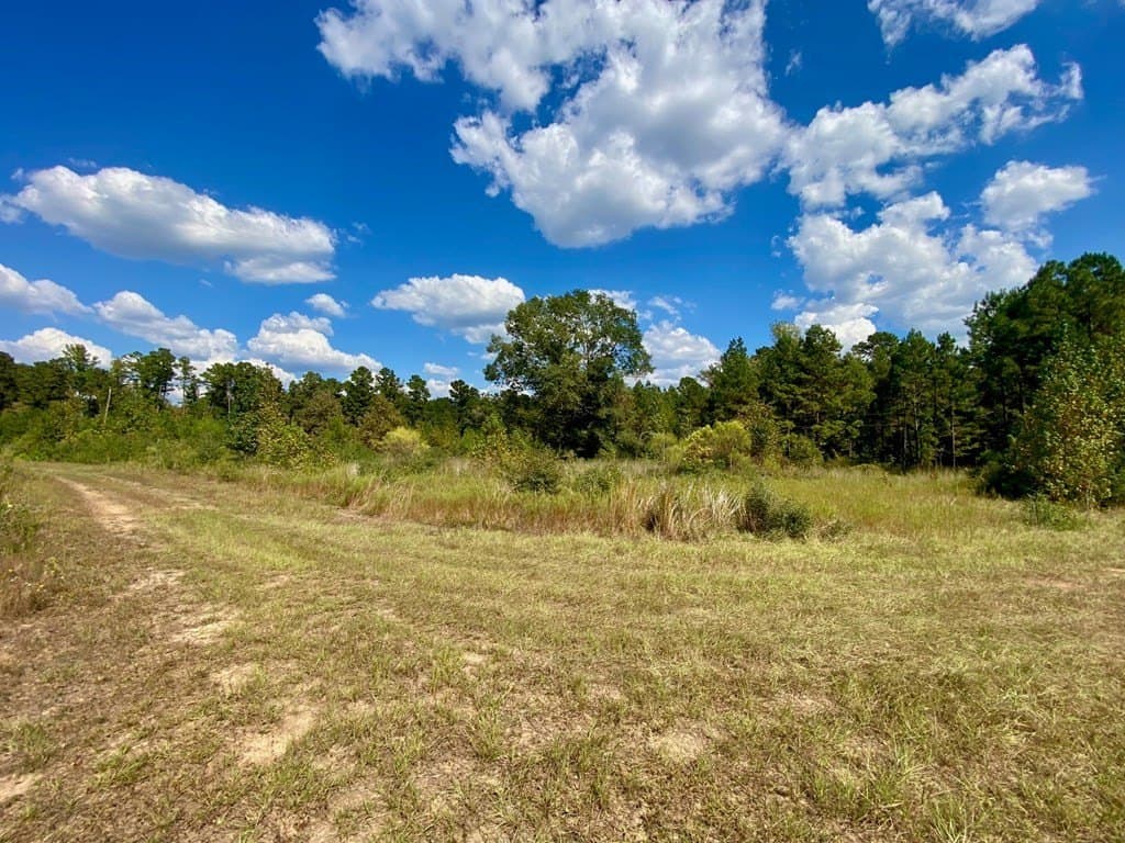 56.35 acres in Texas County - photo 51