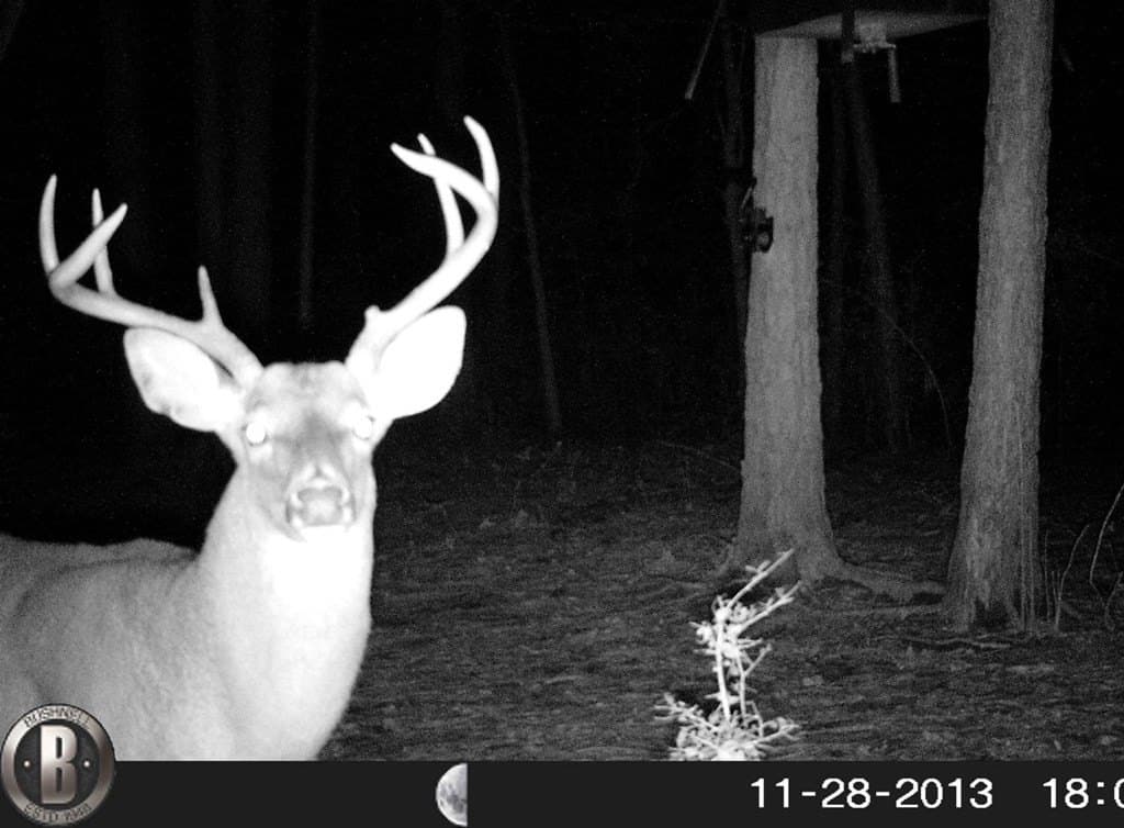 56.35 acres in Texas County - photo 32