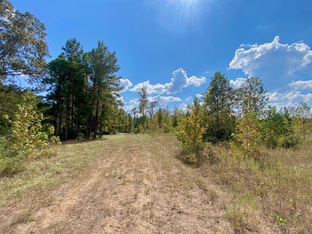 56.35 acres in Texas County - photo 54