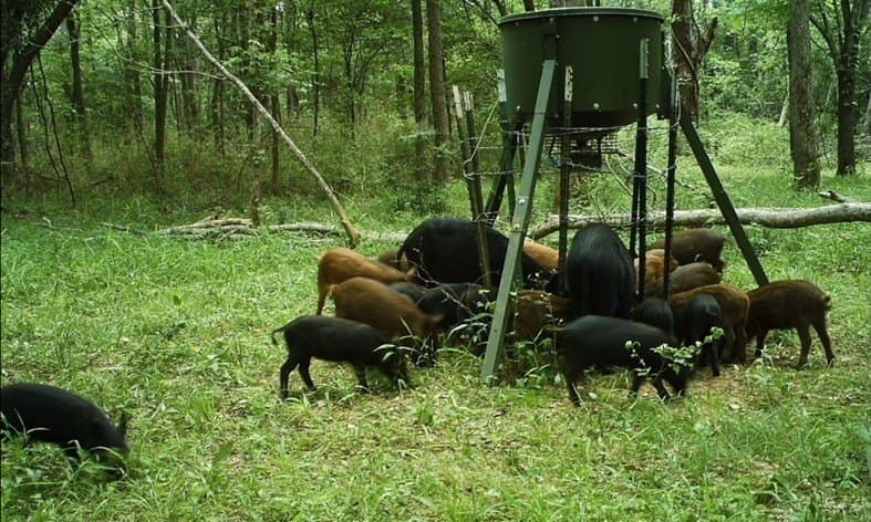 56.35 acres in Texas County - photo 45