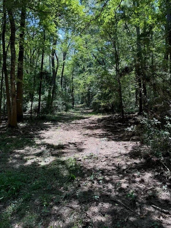 56.35 acres in Texas County - photo 42