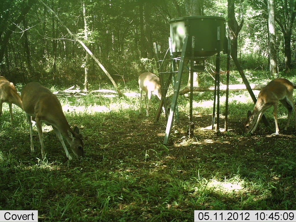 56.35 acres in Texas County - photo 37