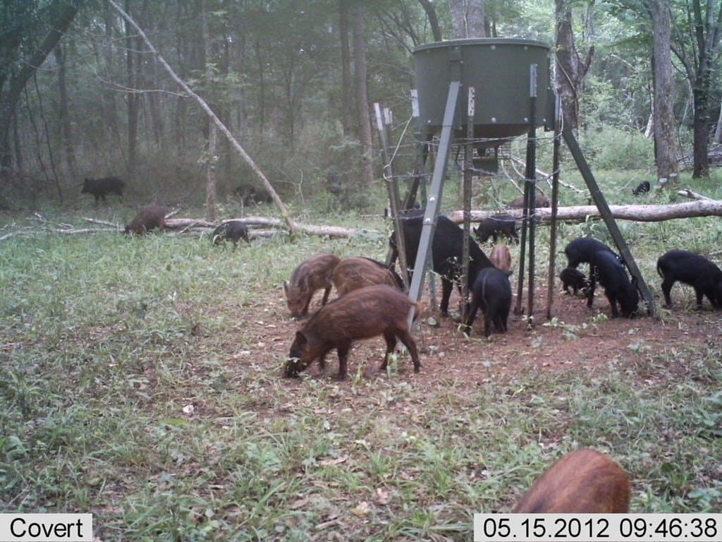 56.35 acres in Texas County - photo 38