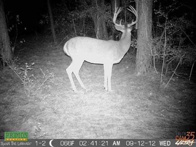 56.35 acres in Texas County - photo 48
