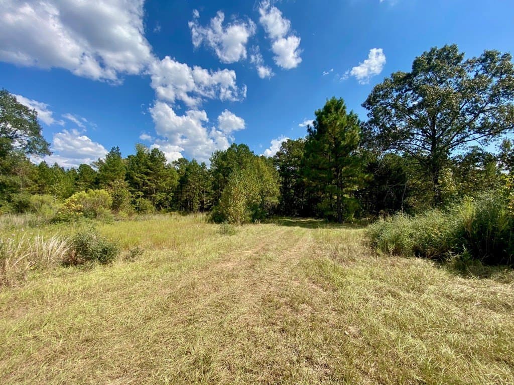 56.35 acres in Texas County - photo 50