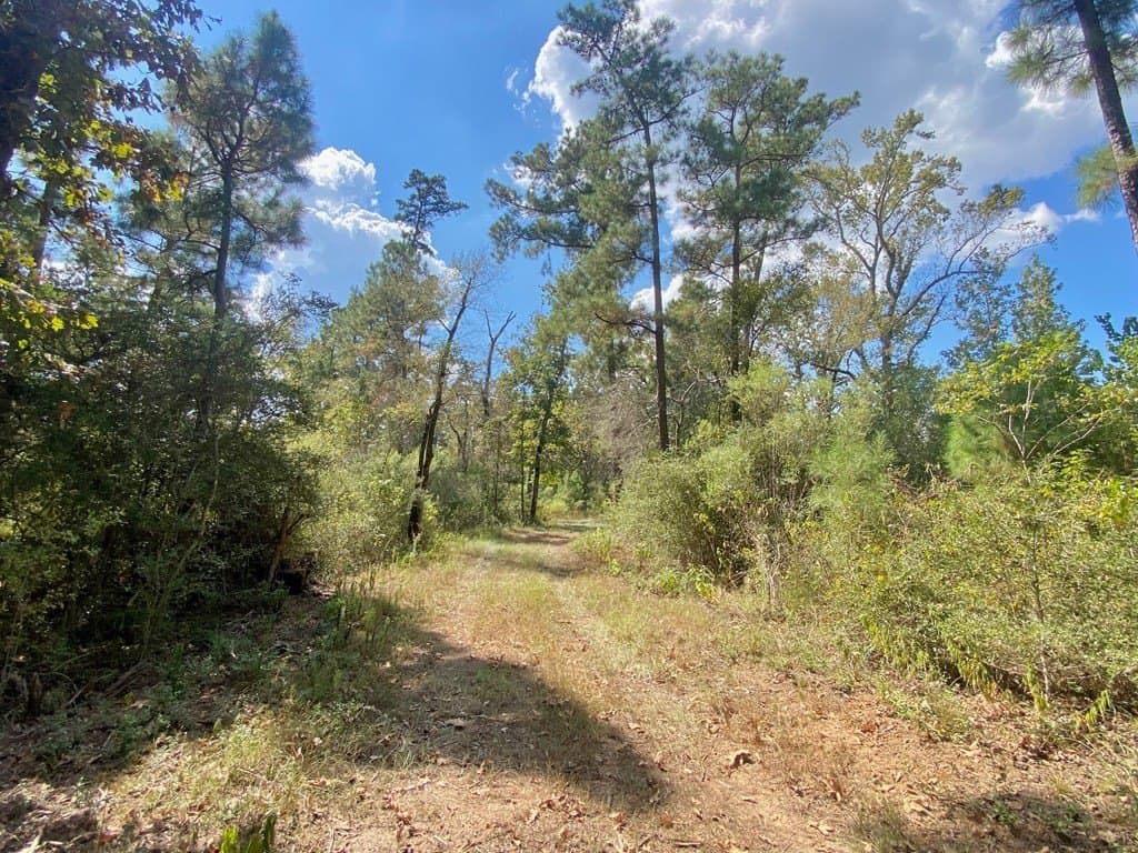 56.35 acres in Texas County - photo 52