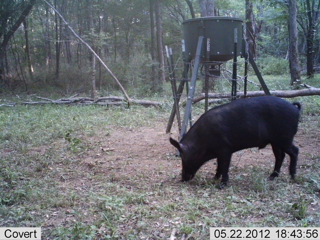 56.35 acres in Texas County - photo 40