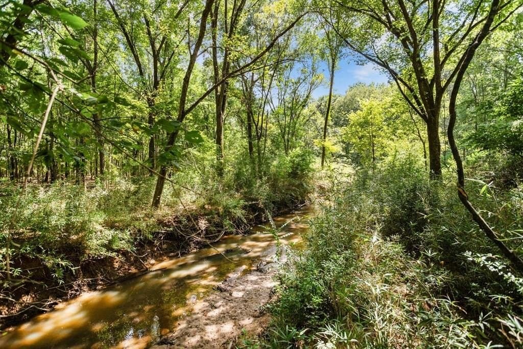 56.35 acres in Texas County - photo 31