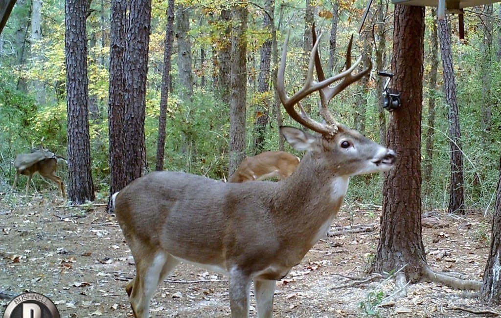 56.35 acres in Texas County - photo 33