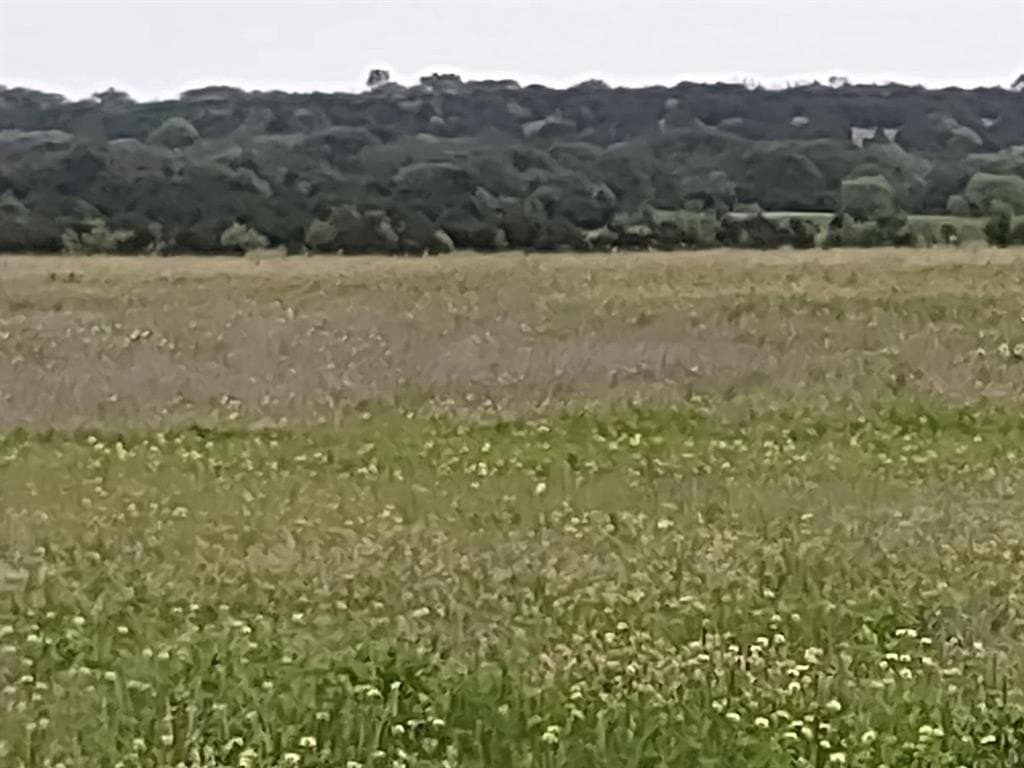 15 acres in Hamilton County