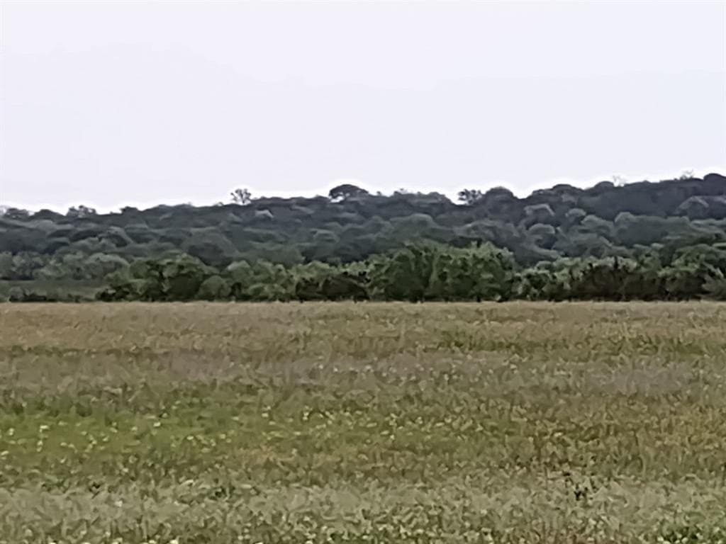 15 acres in Hamilton County gallery image 4