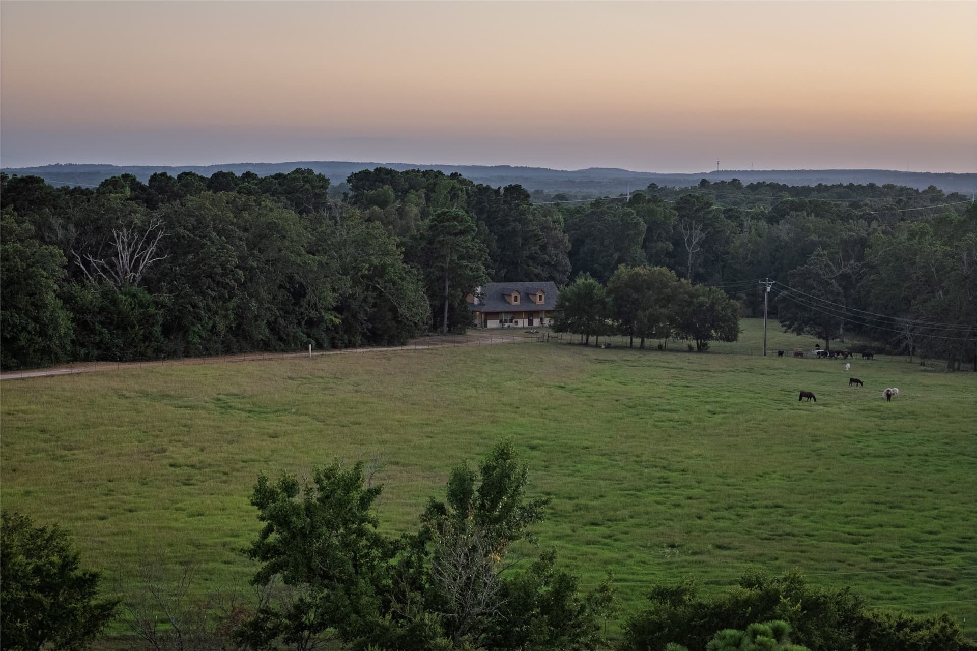 40.04 acres in Henderson County - photo 40