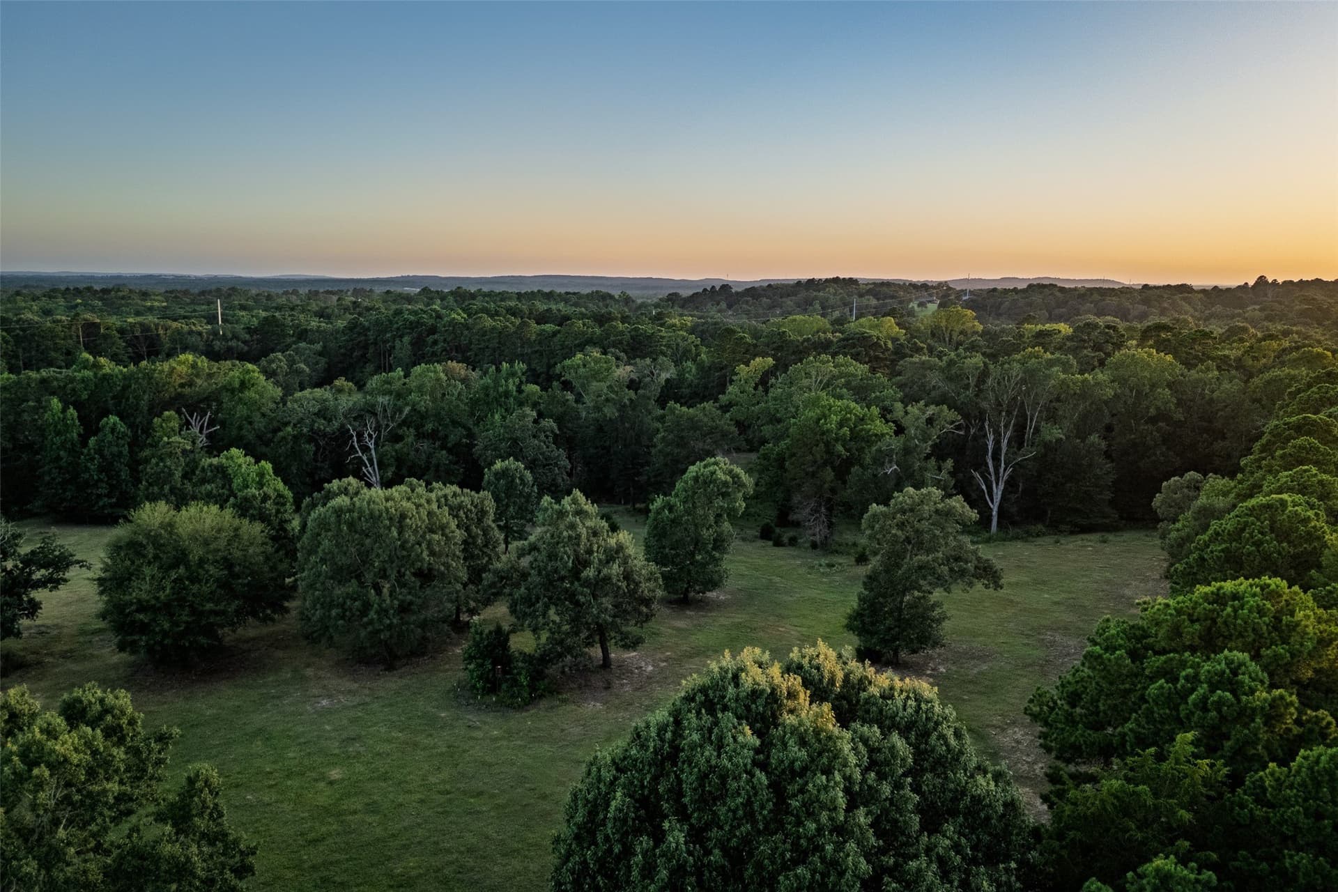 40.04 acres in Henderson County - photo 32