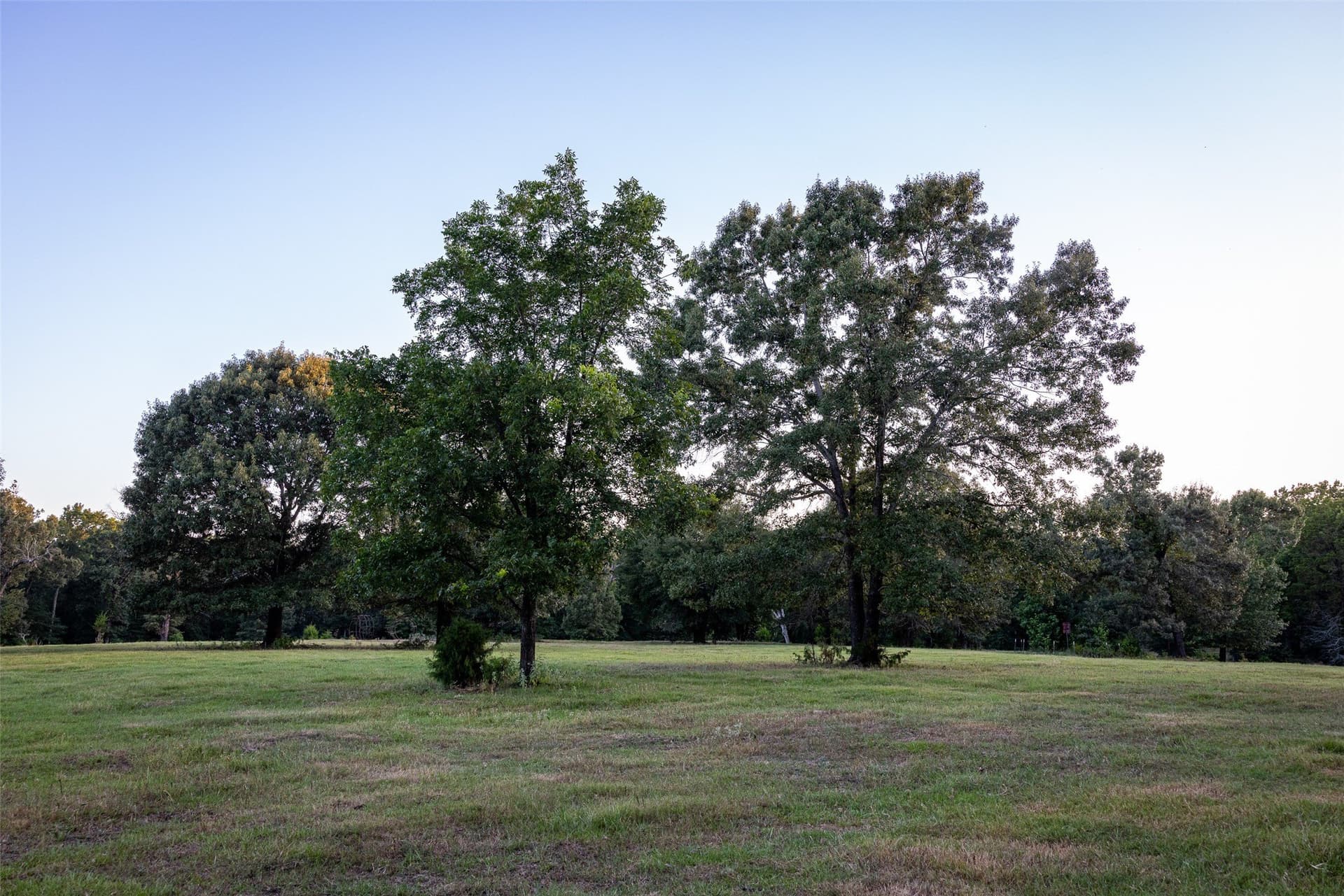 40.04 acres in Henderson County - photo 38