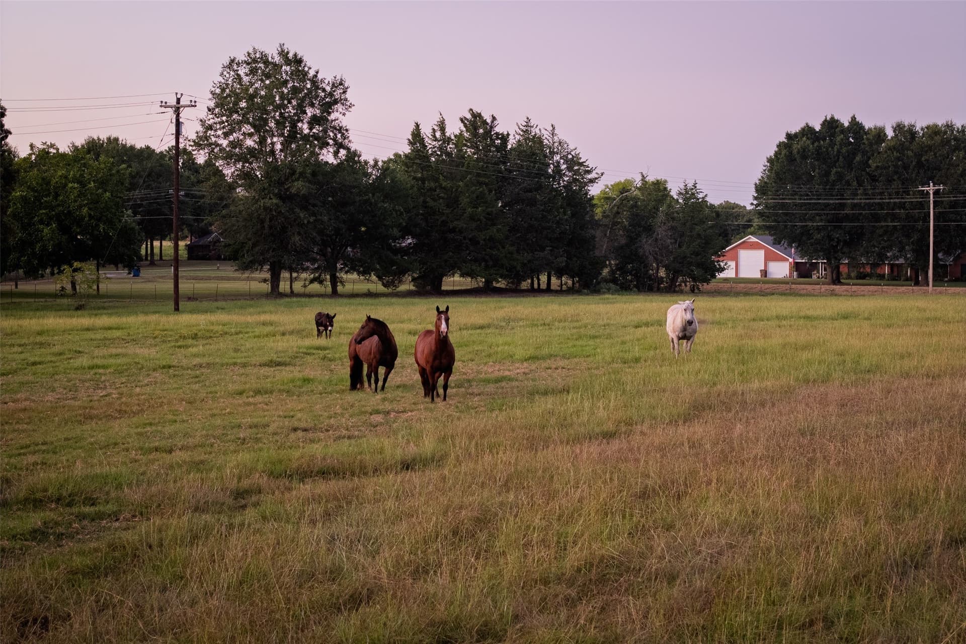 40.04 acres in Henderson County - photo 22