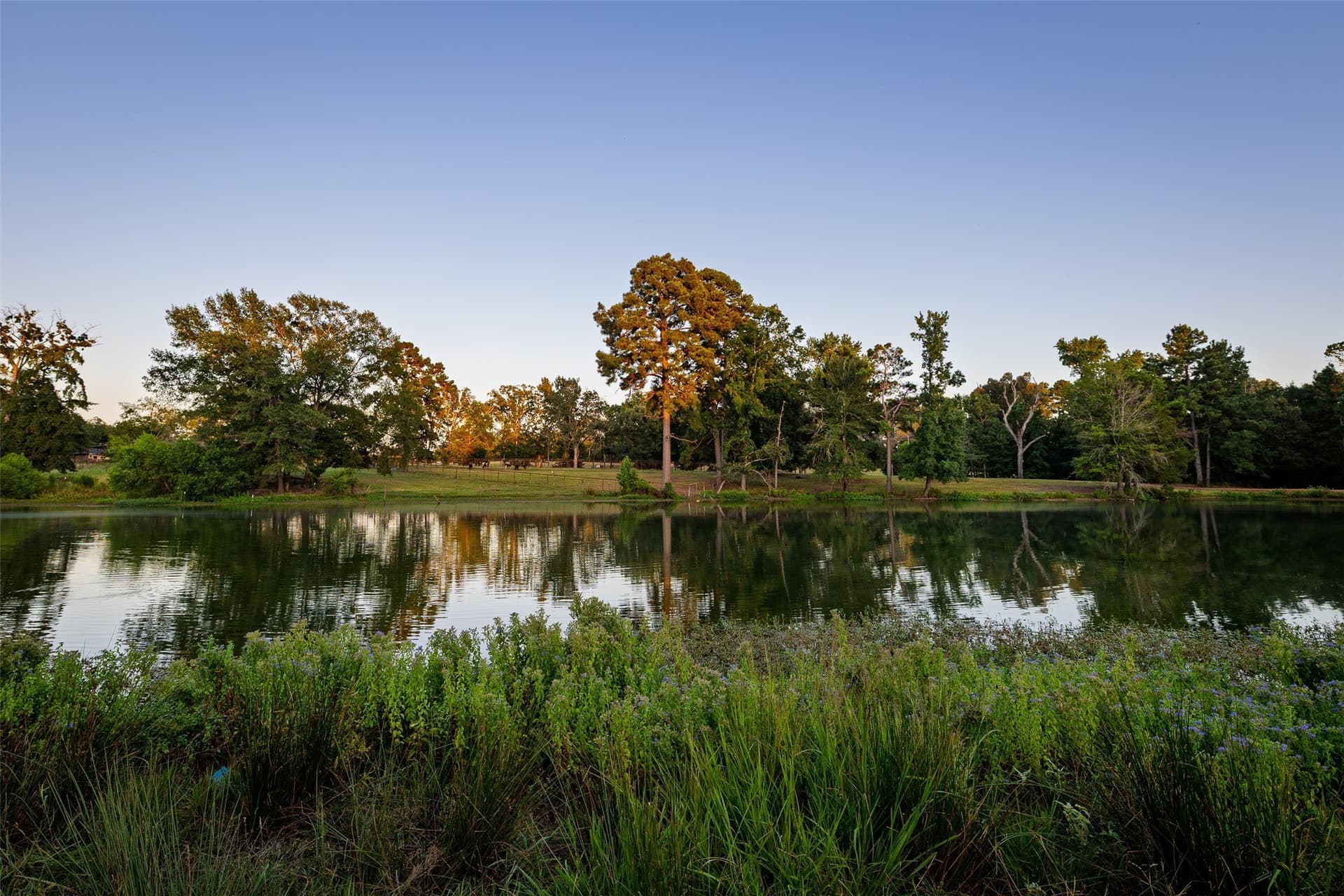 40.04 acres in Henderson County - photo 2