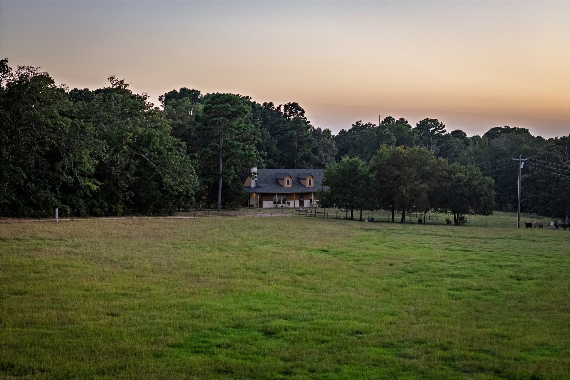 40.04 acres in Henderson County - photo 21