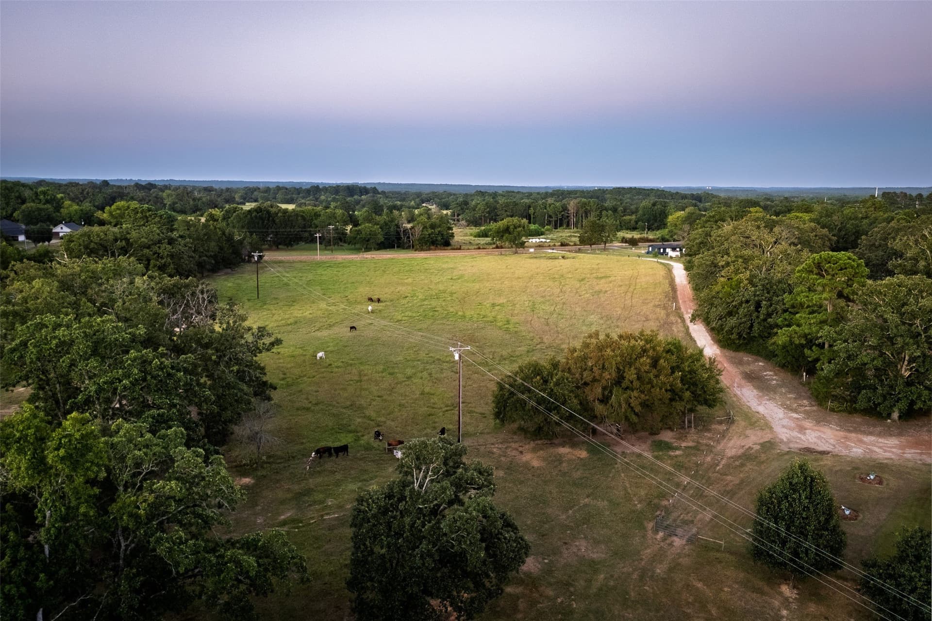 40.04 acres in Henderson County - photo 23
