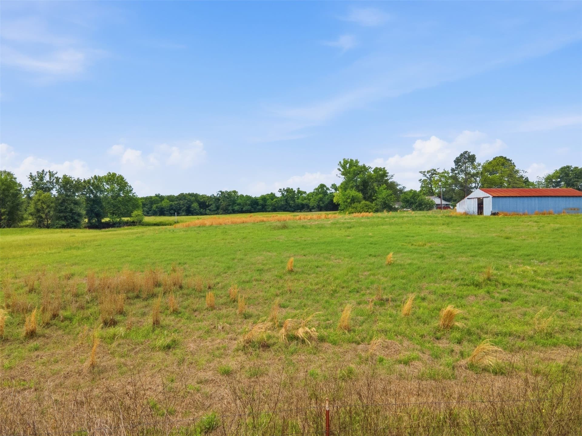 1.5 acres in Rains County - photo 6