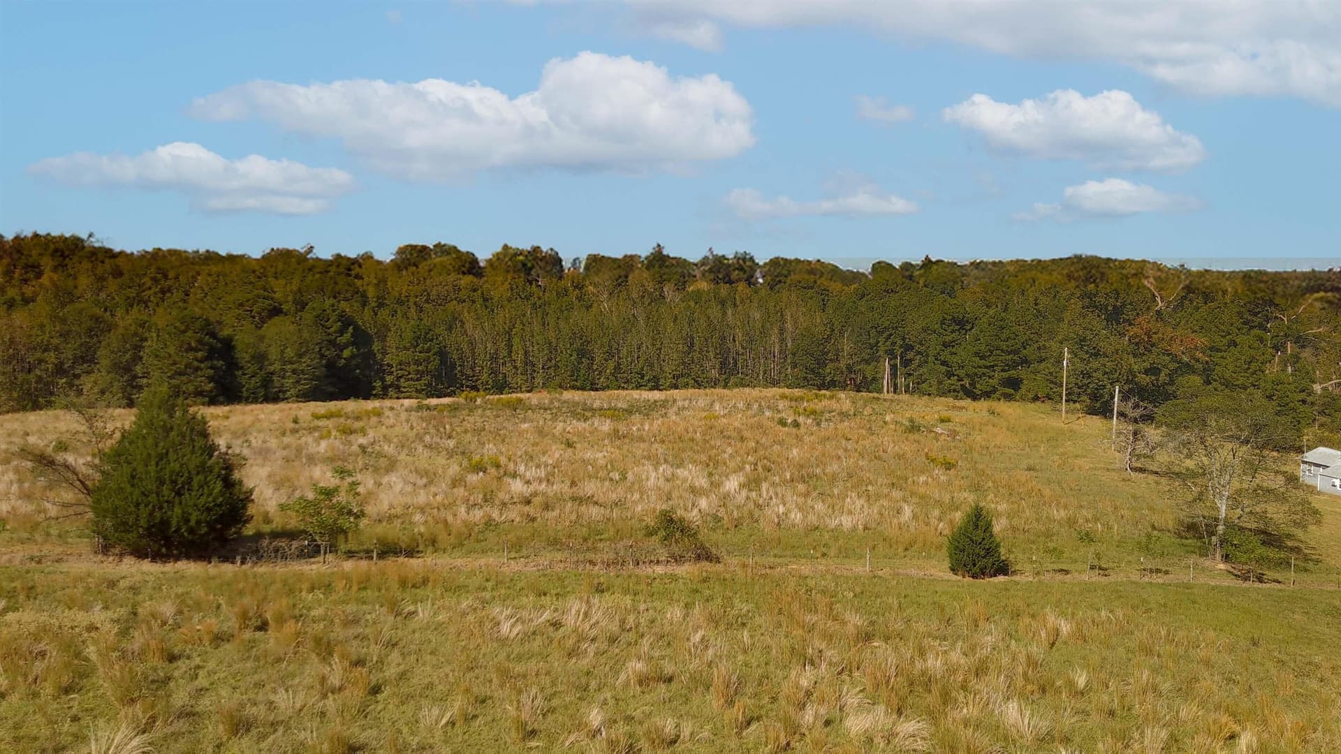 17.14 acres in Morris County - photo 7