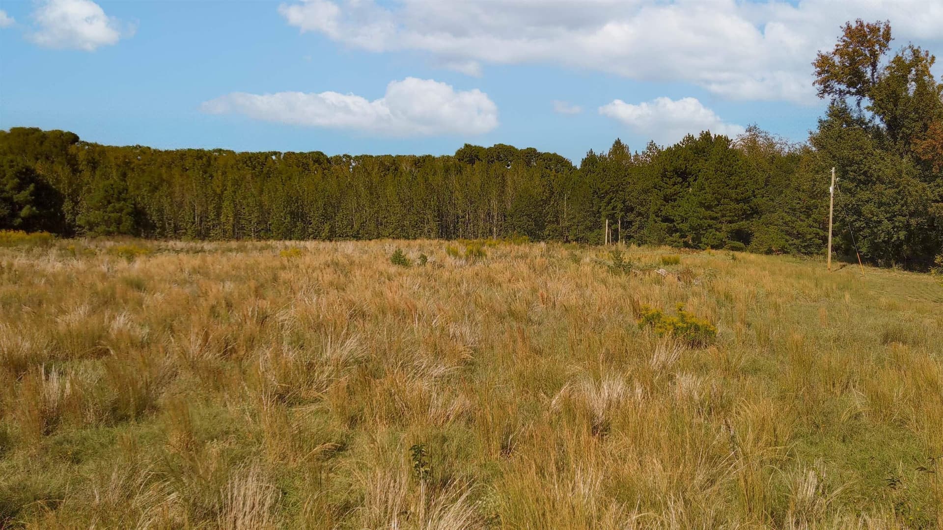 17.14 acres in Morris County - photo 9