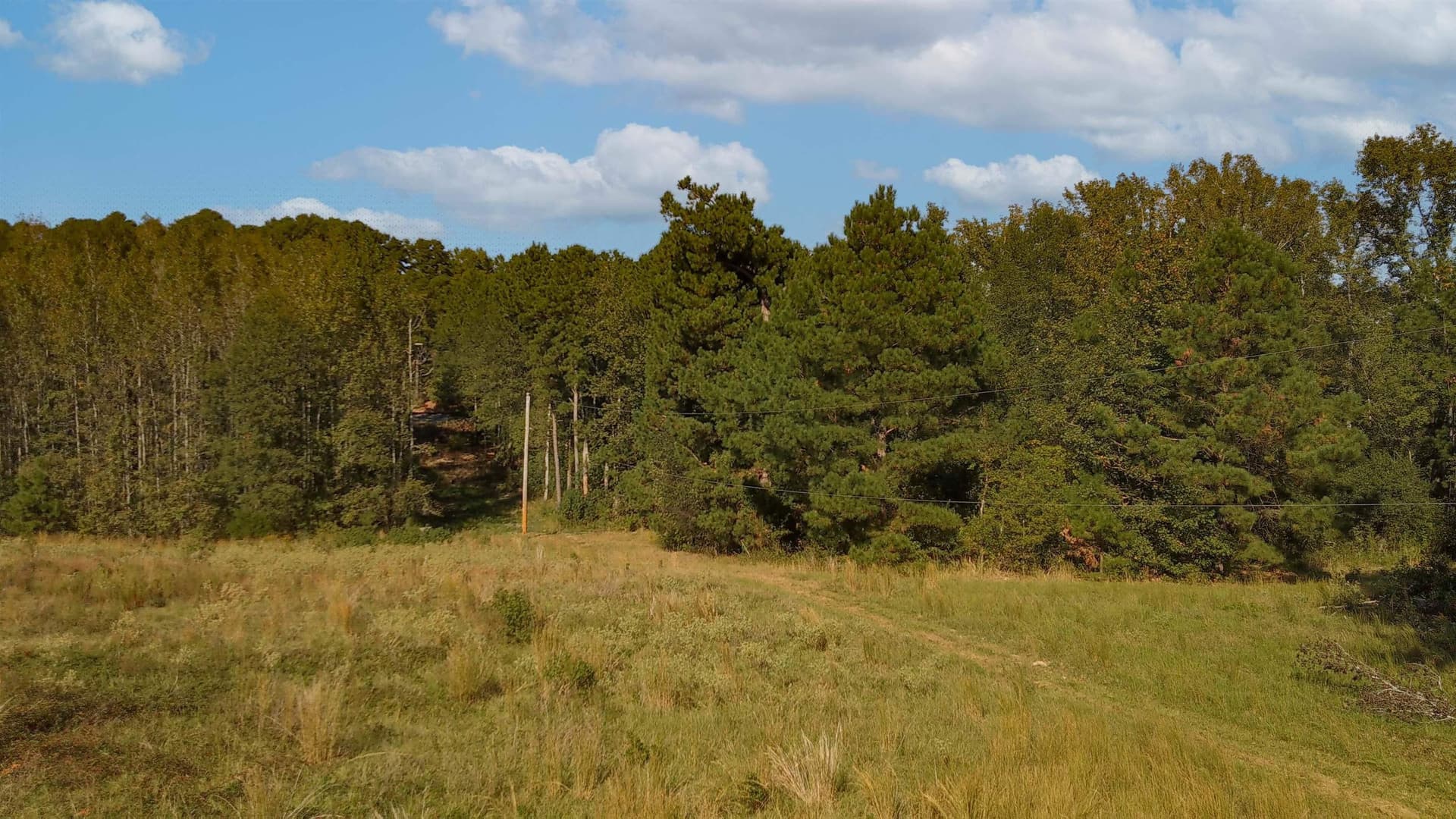 17.14 acres in Morris County - photo 8
