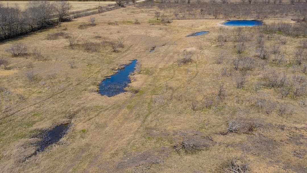 78 acres in Navarro County - photo 3