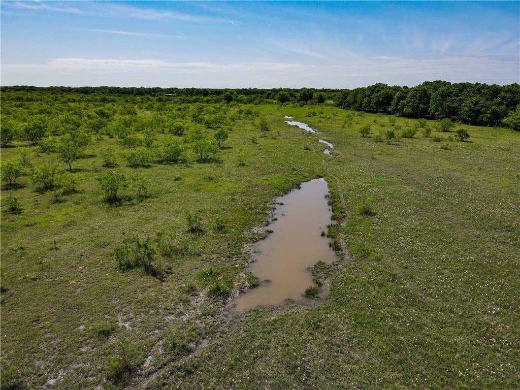 78 acres in Navarro County - photo 7