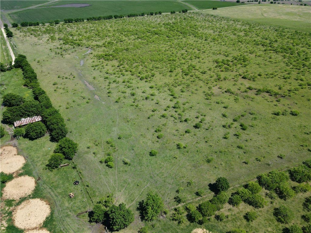 78 acres in Navarro County - photo 6
