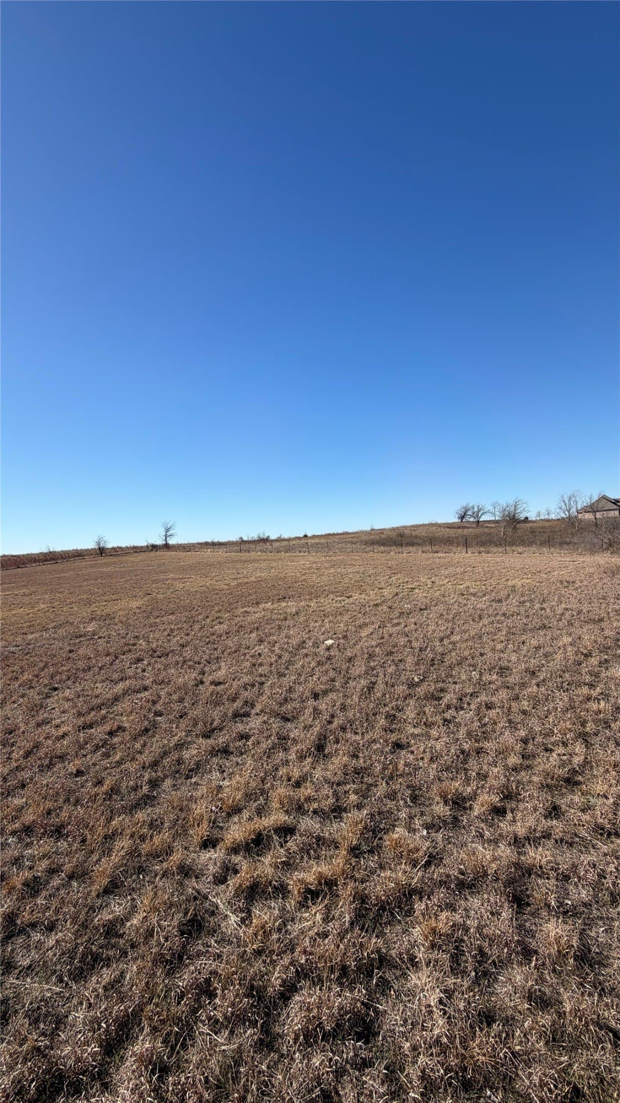 5 acres in Cooke County - photo 14