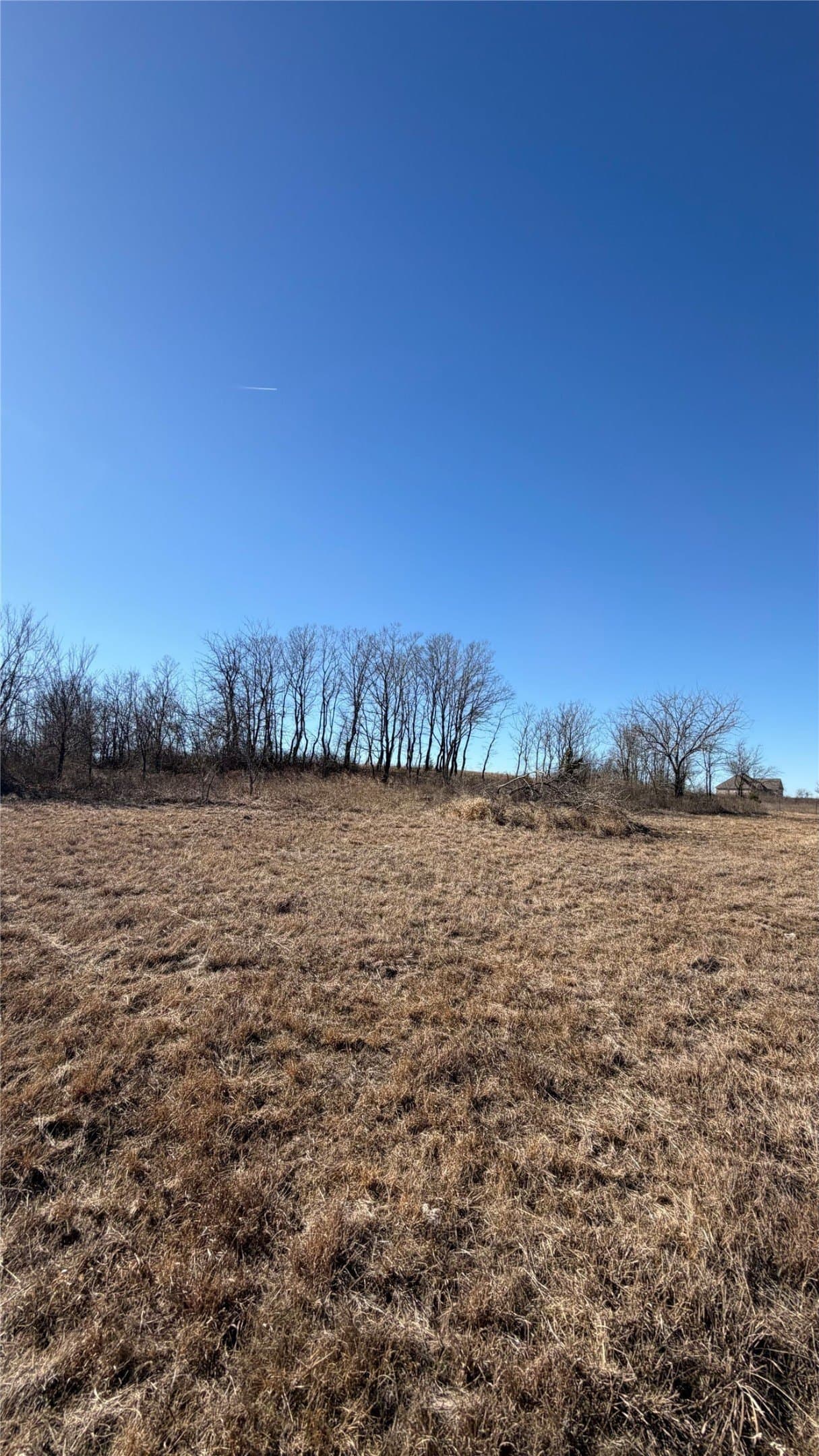 5 acres in Cooke County - photo 17