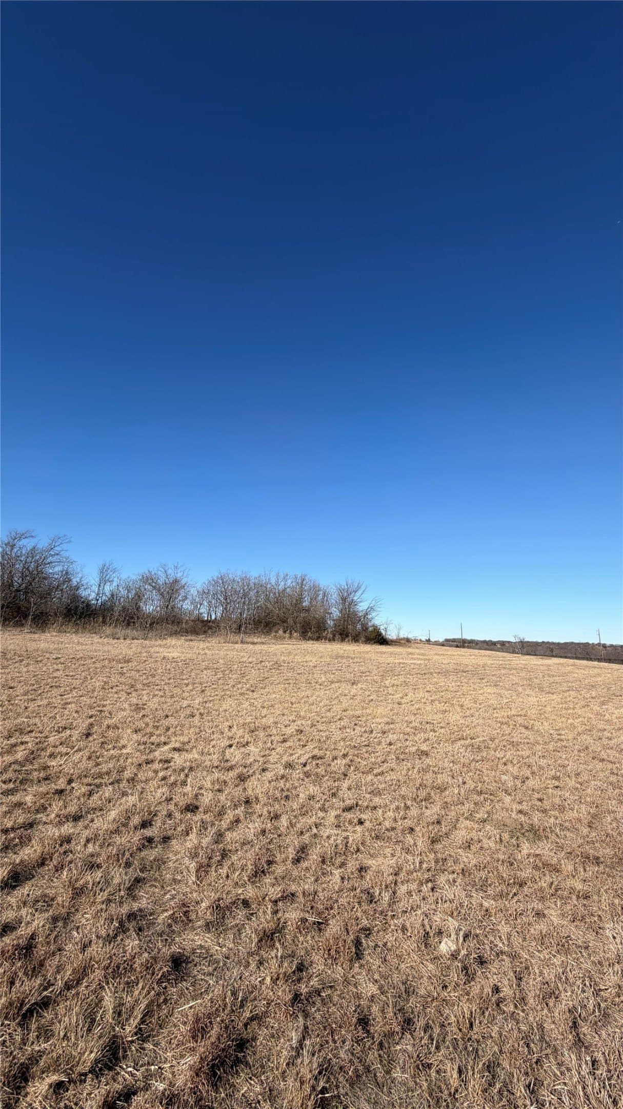 5 acres in Cooke County - photo 13