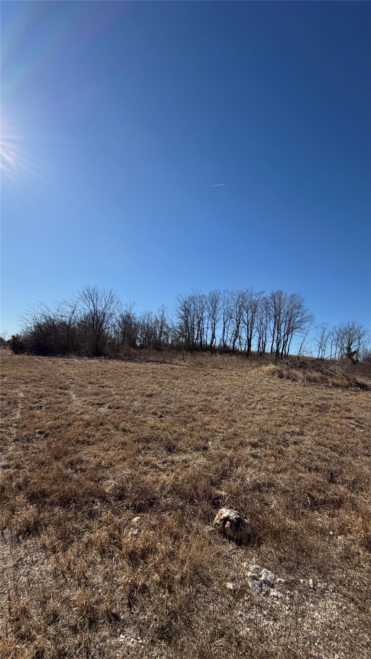 5 acres in Cooke County - photo 18
