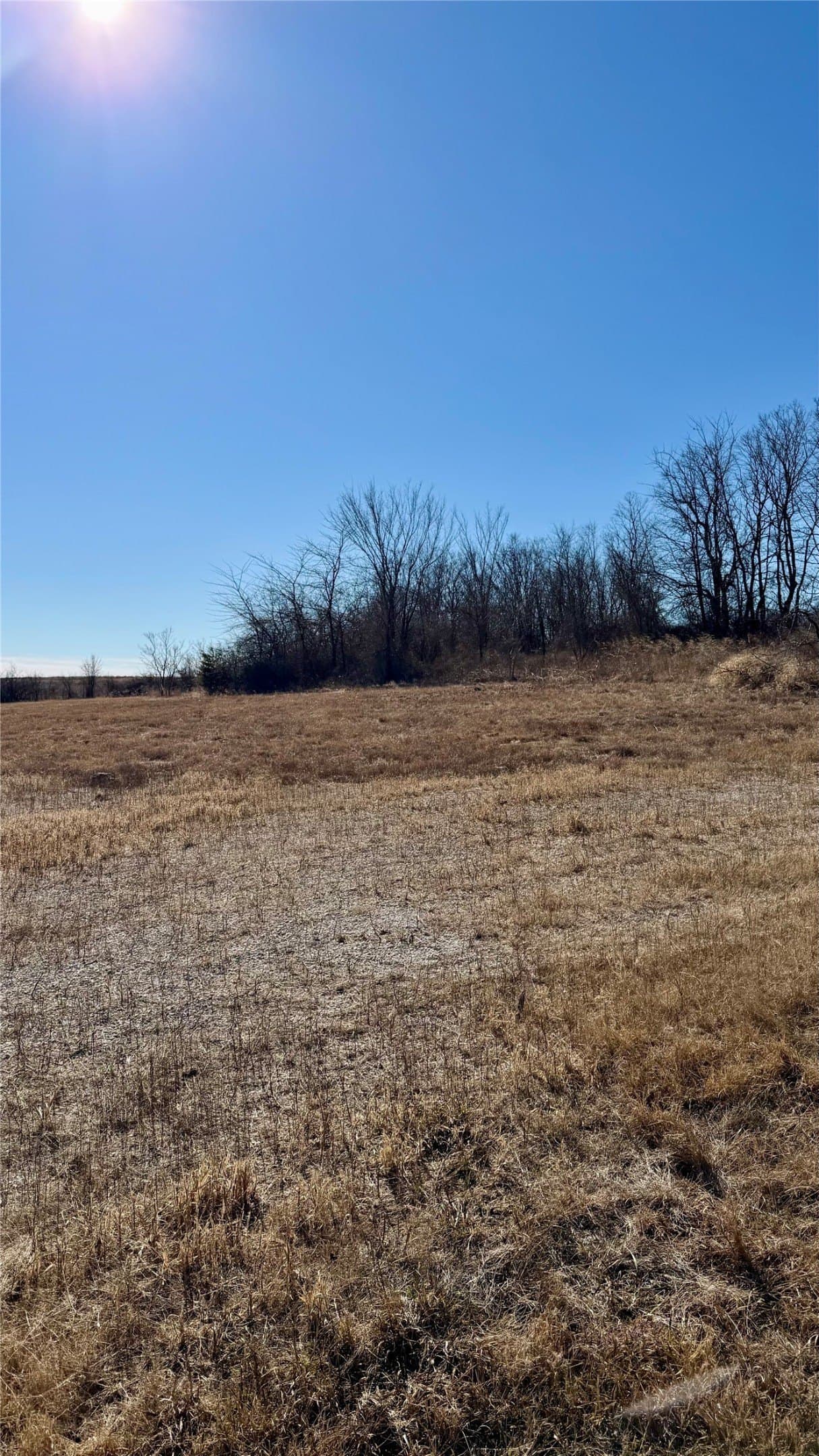 5 acres in Cooke County - photo 22