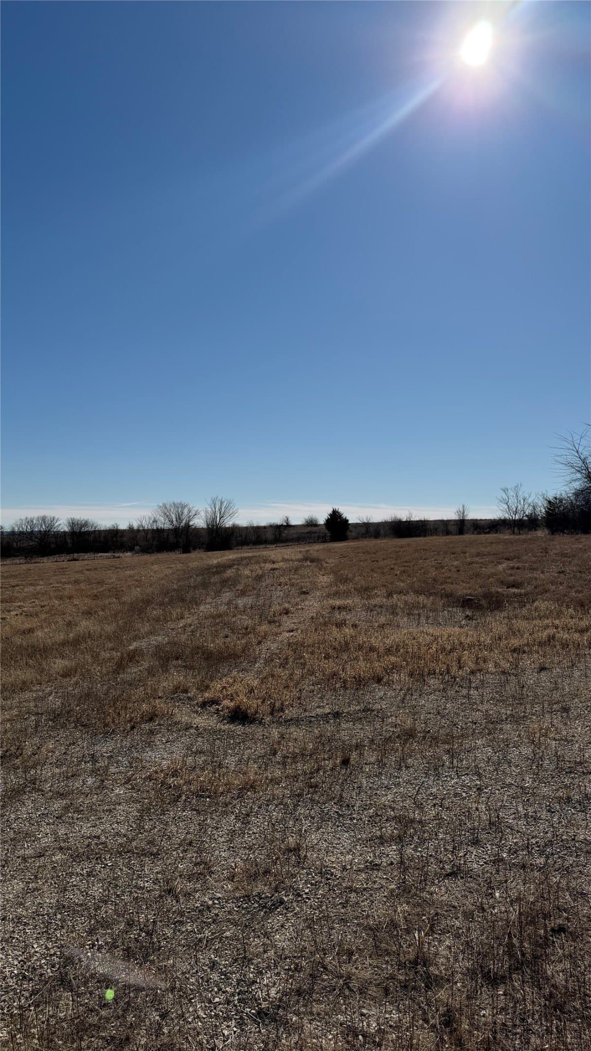 5 acres in Cooke County - photo 23