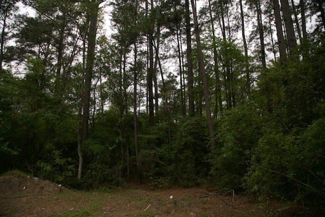 30.82 acres in Texas County - photo 4