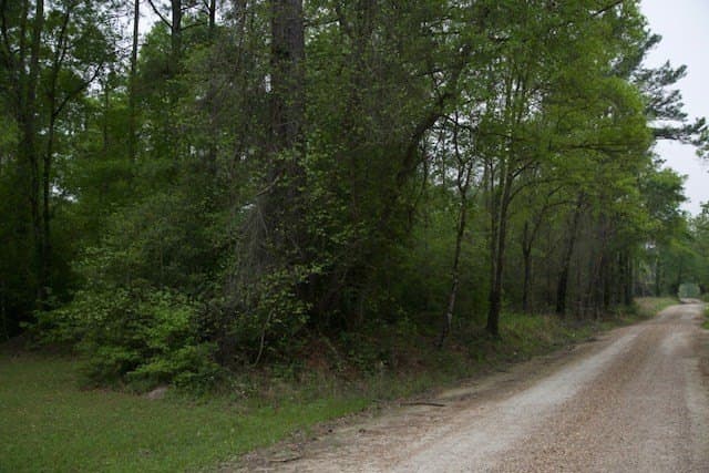 30.82 acres in Texas County - photo 2