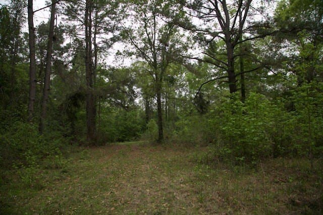 30.82 acres in Texas County - photo 6