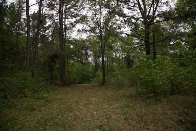 30.82 acres in Texas County - photo 5
