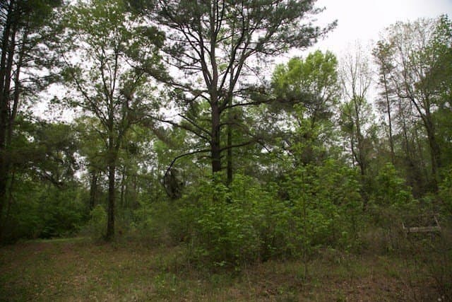 30.82 acres in Texas County - photo 7