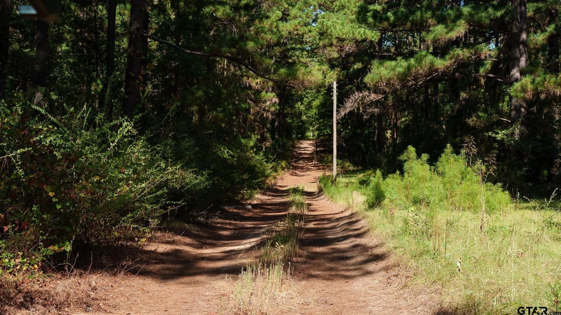 105 acres in Rusk County - photo 10