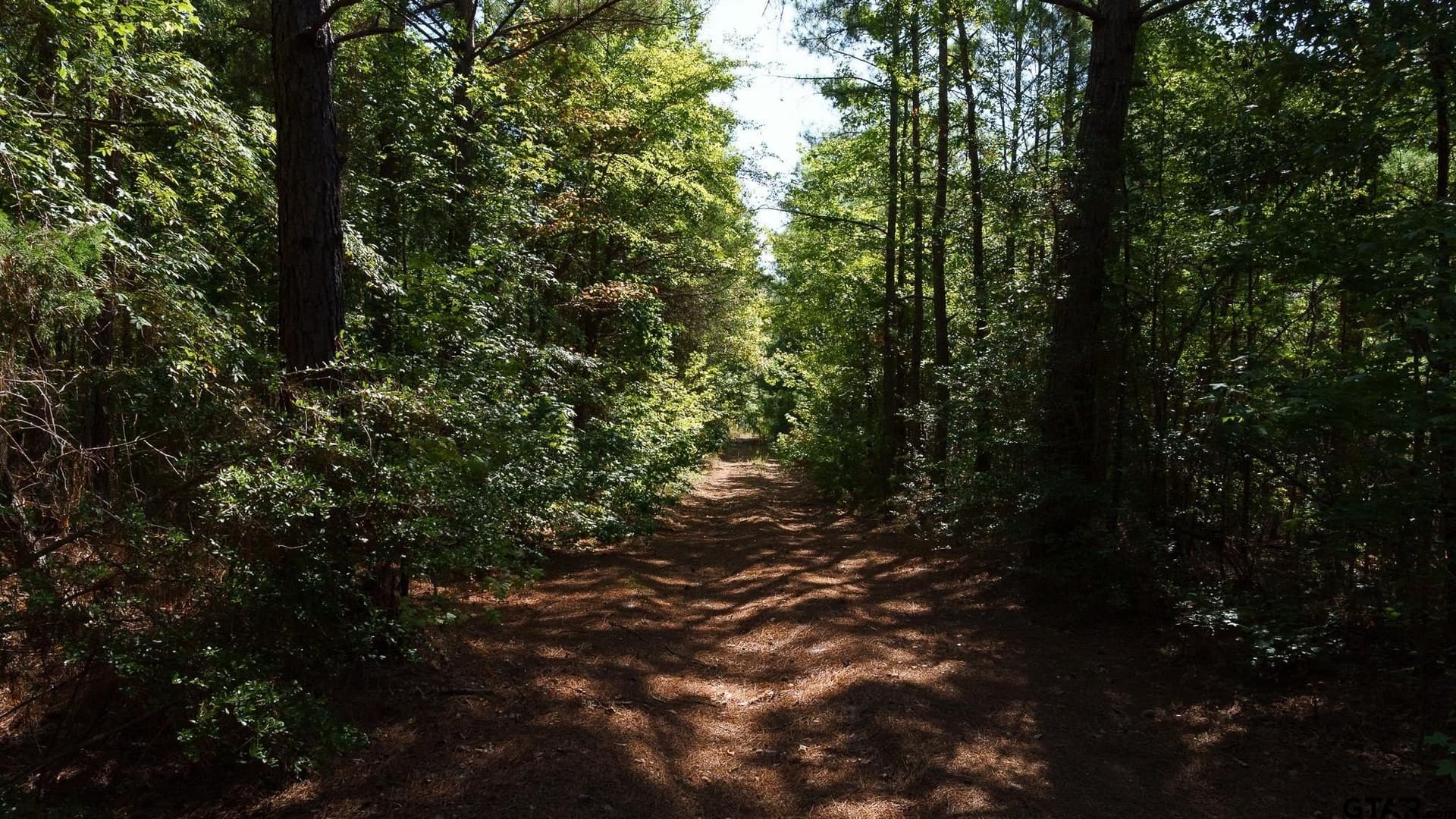 105 acres in Rusk County - photo 14